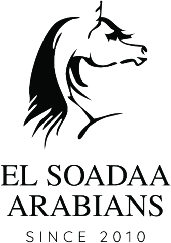 El Soadaa Arabians